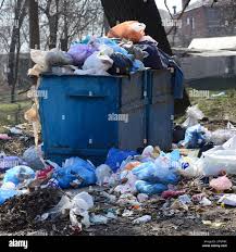 Best Construction Debris Removal  in Eloy, AZ